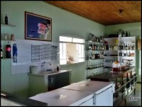 /album/galeria-de-fotos/imagem-161-jpg/